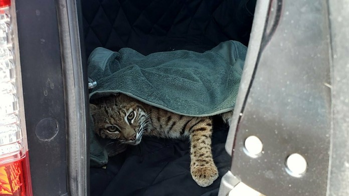 Dom na Sklenárovej ulici, v ktorom horelo.