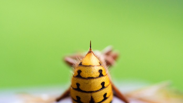 Ilustračná snímka.