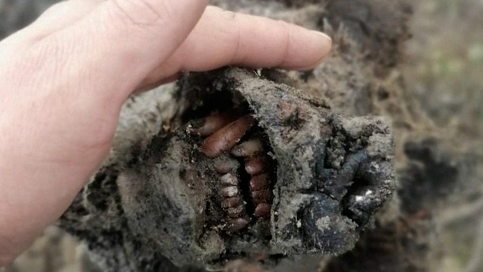 Nela v novom klipe Bez teba.