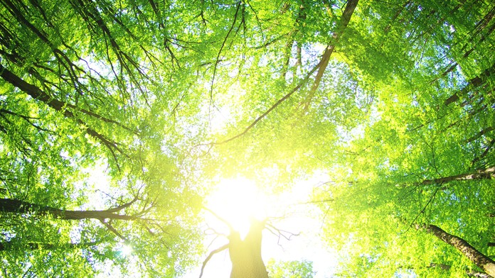 Ilustračná snímka