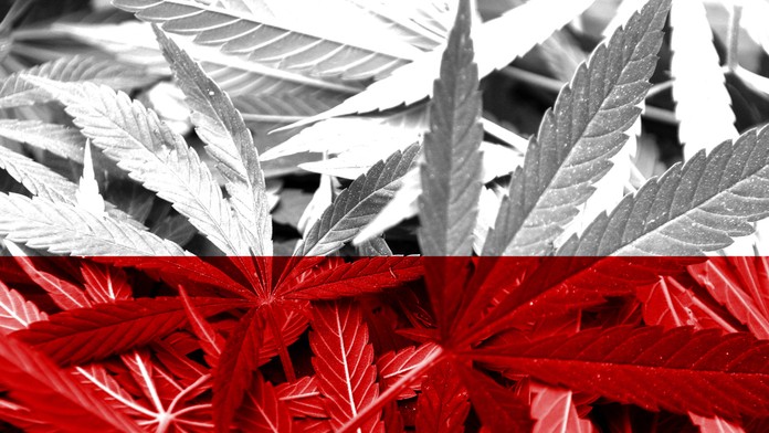 V Poľsku zlegalizovali marihuanu.