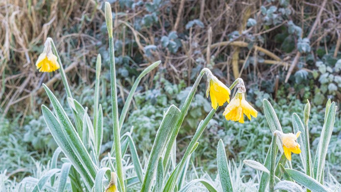 Britain Soccer Premier League103990.jpg