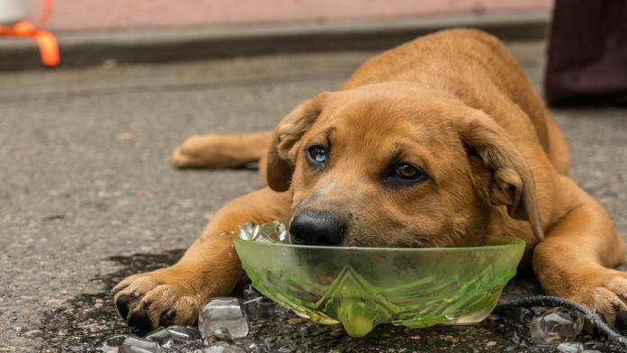 Ilustračná snímka.