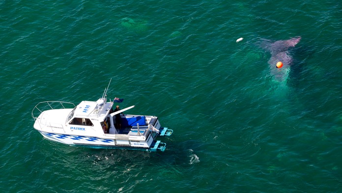 Policajná loď krúži okolo spadnutého lietadla vo vodách novozélandského jazera Taupo.