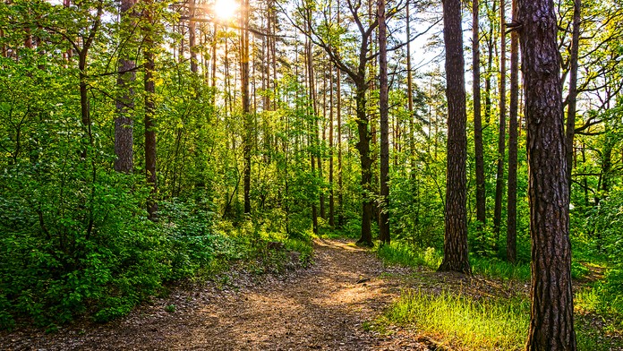 Ilustračná snímka.