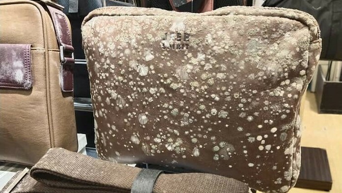 O svoje prvé skúsenosti s pečením sa podelil aj Michal z Bratislavy.