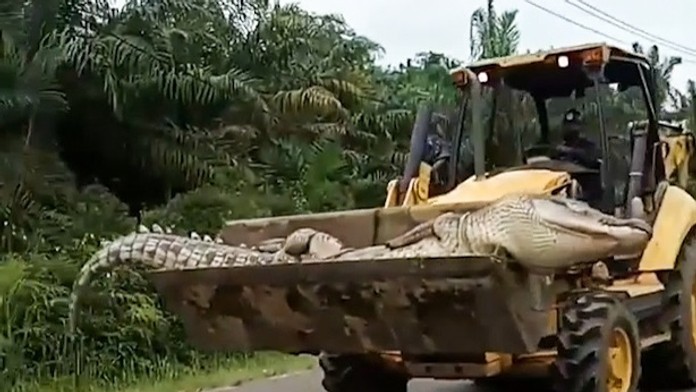 XXTWVSLGPMKX-high_1080p.mp4