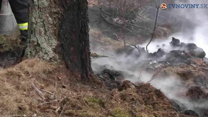 Ilustračná snímka