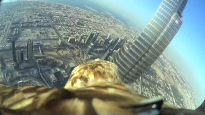 Orol Darshan v Dubaji.