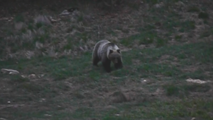 Zásnuby Jennifer Lopez