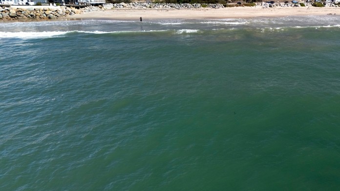 Žralok pri pláži.