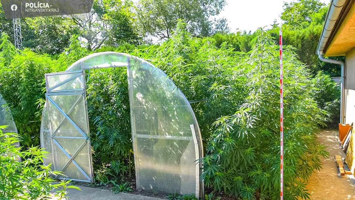 Prípad drogovej činnosti, aký si kriminálka v Šali nepamätá. Zaistili zarážajúce množstvo drog