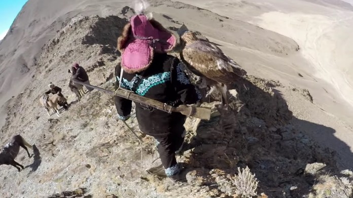 Kamera zachytila ako orol loví líšku.