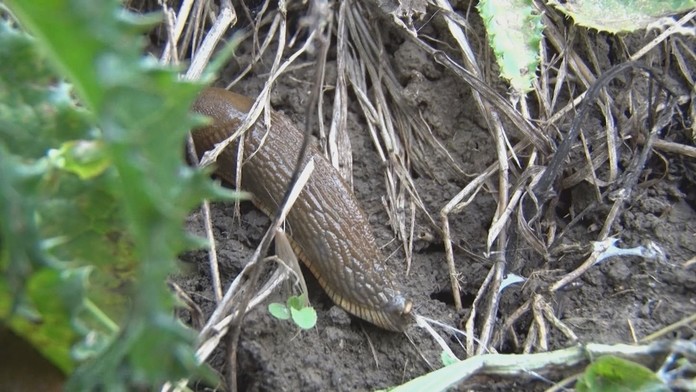 19 Kolikova novy urad.transfer_tvnoviny.mp4