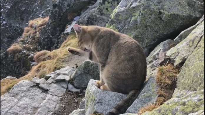 Ilustračná snímka.