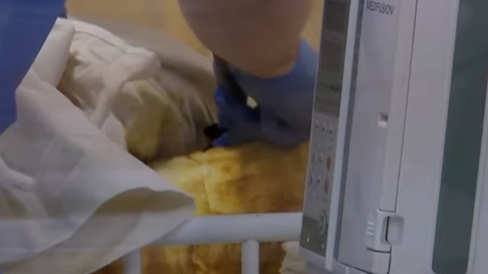 Anna zo Zeleného domu - od 12. septembra vždy v sobotu a nedeľu o 18.15!