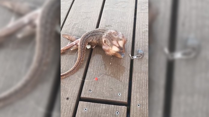 Ilustračná snímka.