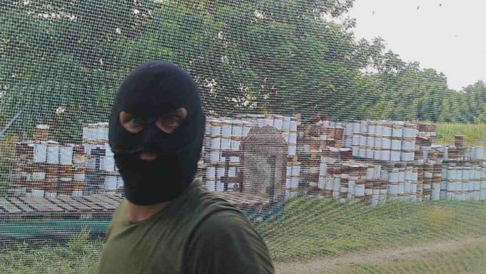 Na samozber sa vybrali po záverečnej. 