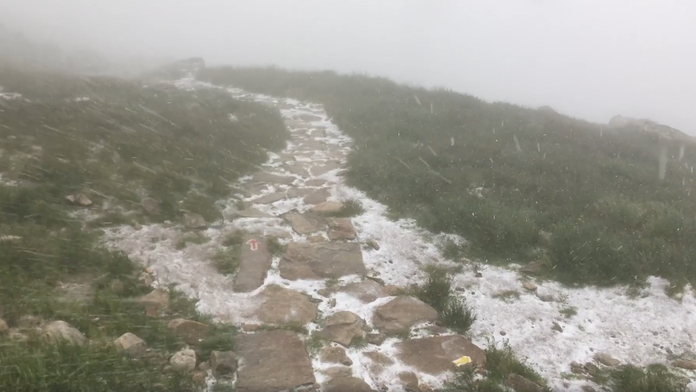 Angela merkelová mala opäť triašku