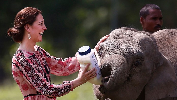 Vysmiata Kate pri kŕmení sloníčaťa v indickom národnom parku Kaziranga.