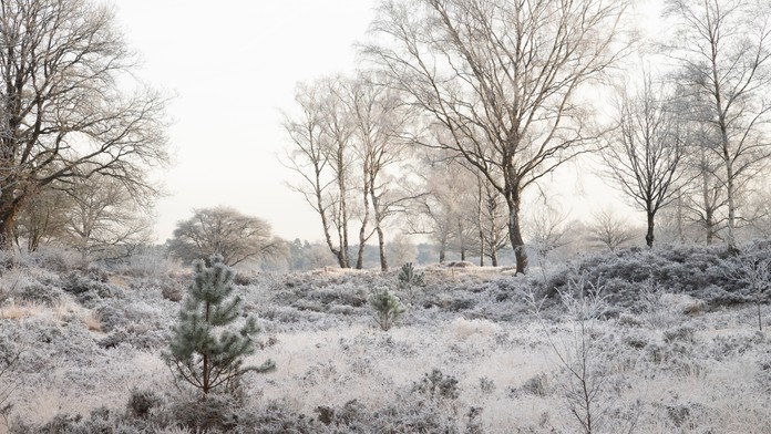 Mráz, poľadovica i silný vietor. Meteorológovia na stredu vydali viacero výstrah