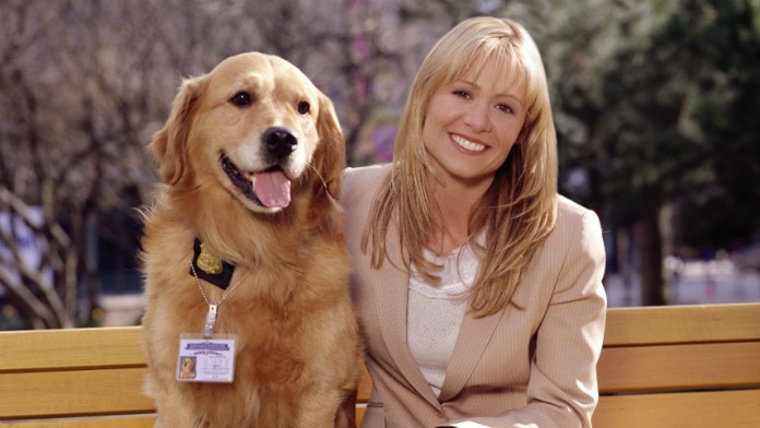 Brankár Košíc Stanislav Škovránek