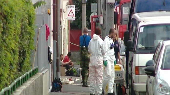 19 VO ILU GALANTA.transferweb_jpg_bez_watermarku_1.jpg