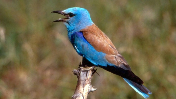 Ilustračná snímka.