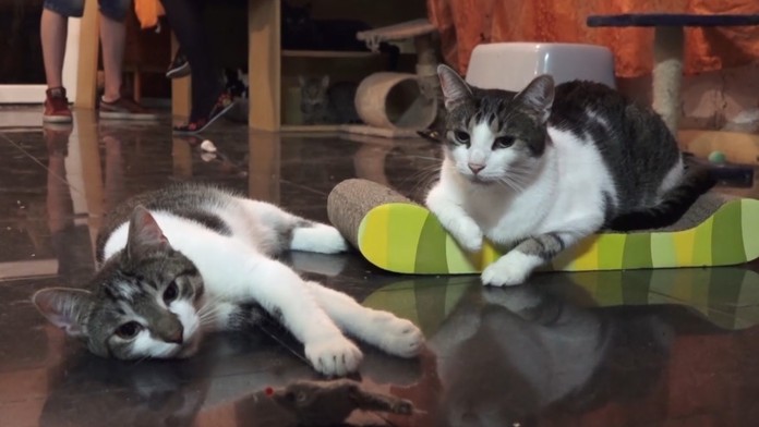 Ilustračná snímka.