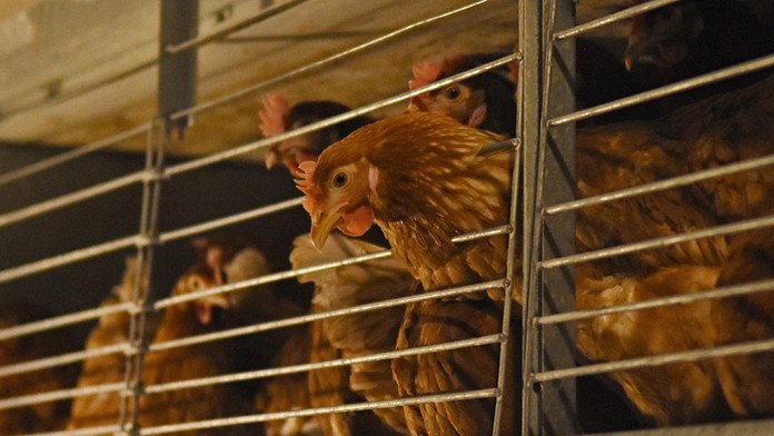 Ilustračná snímka.