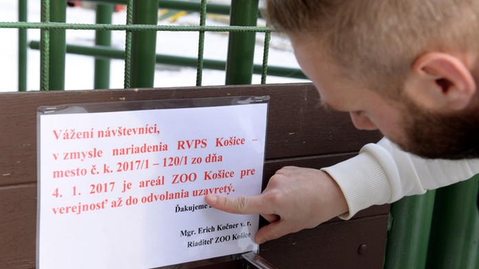 Zamestnanec ZOO upevňuje nápis o uzavretí ZOO na vstupnú bránu v Košiciach.