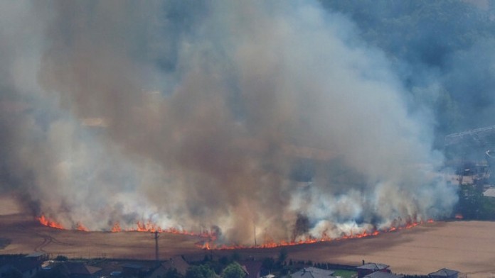 Požiar pri železničnej trati v Česku