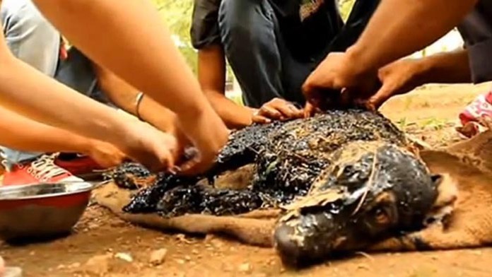 Psíka zachraňovali dva dni