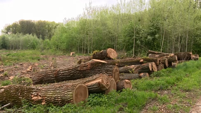 Ilustračná snímka