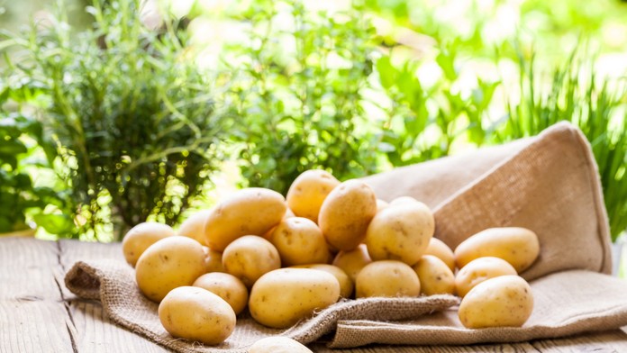 Zemiaky - ilustračná snímka.