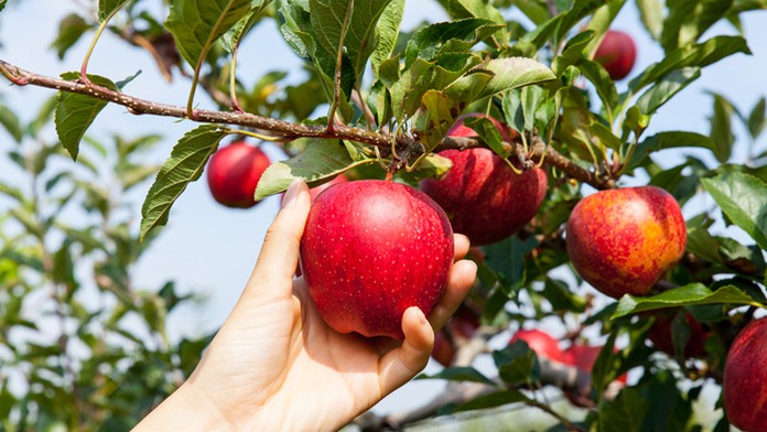 Ilustračná snímka.