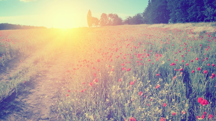 Ilustračná snímka.