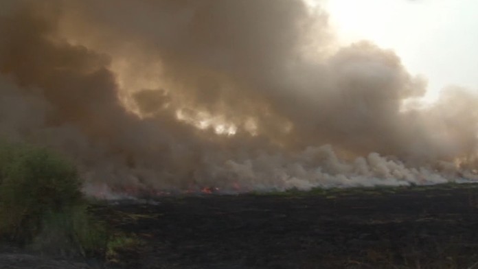 Požiar pri Palárikove