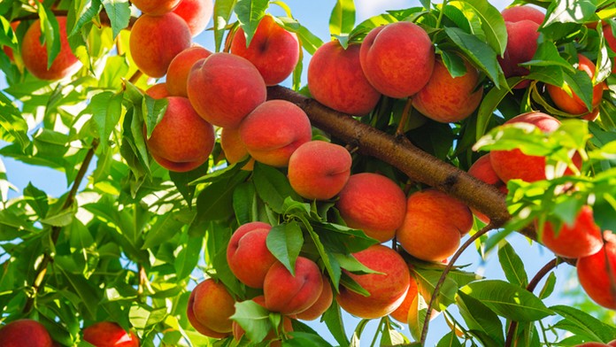 Ilustračná snímka.