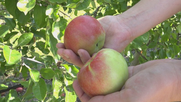 Ilustračná snímka.