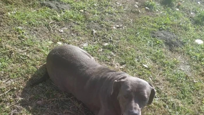 Ako oprvé si Ema skúša jednoduché hladké šaty.