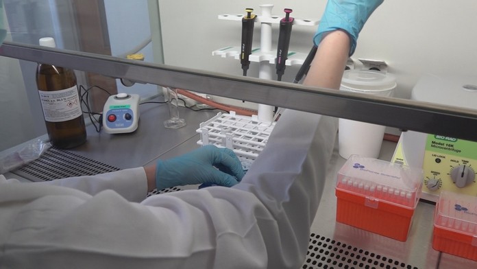 Testovanie na koronavírus v Trenčíne