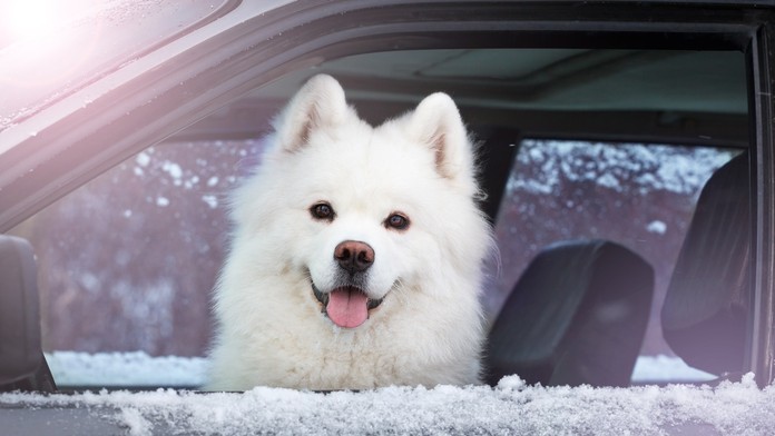 Na snímke český prezident Miloš Zeman.