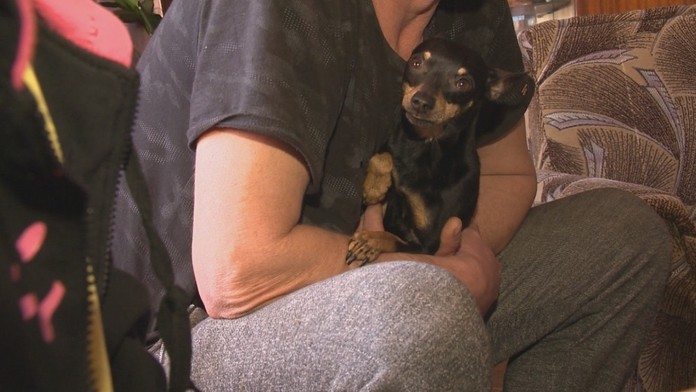 Dvojica prišla o peniaze, natrafili na podvodníkov