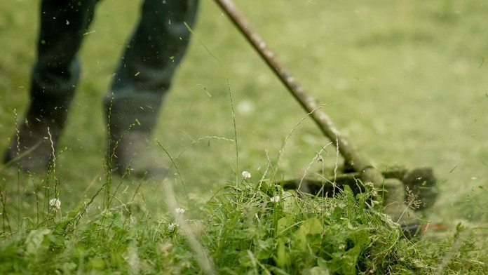 Kosiť trávnik počas apríla je zbytočne priskoro.