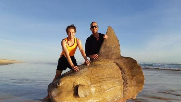 2503_Klamal_by_som_ti_2casť_25_03_P40_Po_22_00__12.mp4