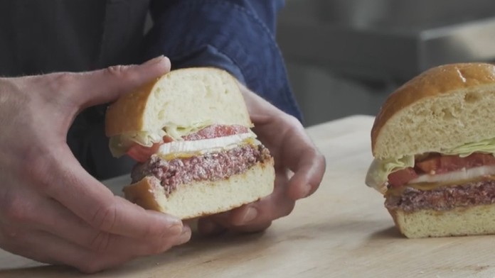 Hamburger z kmeňových buniek.