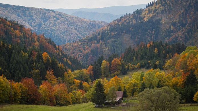 Najstarší zamestnanec bratislavského letiska Jaroslav Marchalín.