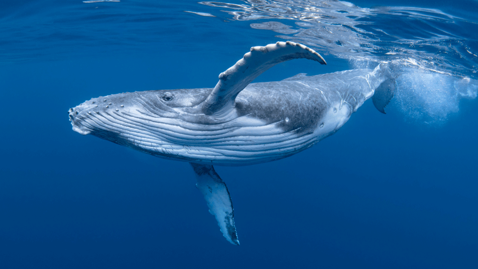 Jedno rande na dvoch miestach.