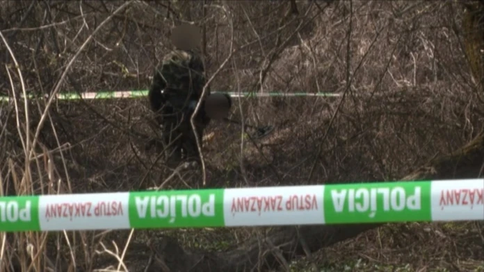 mafiaweb_jpg_bez_watermarku_1.jpg
